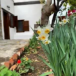 Hotel Adissa Butik Selçuk