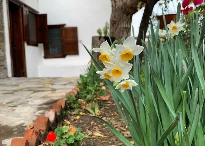 Hotel Adissa Butik Selçuk