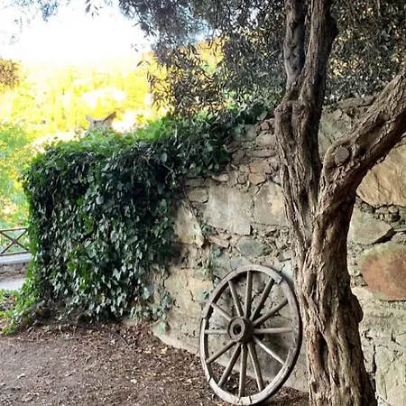 Hotel Adissa Butik Selcuk